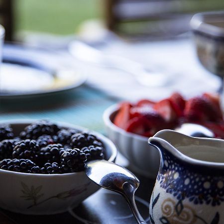 East Hampton Art House Bed And Breakfast מראה חיצוני תמונה